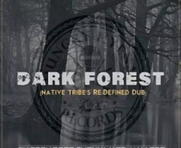 Warren Deep - Dark Forest (Native Tribe’s Re-Defined Afro Remix) ft. Thexy LX, Jay Afro